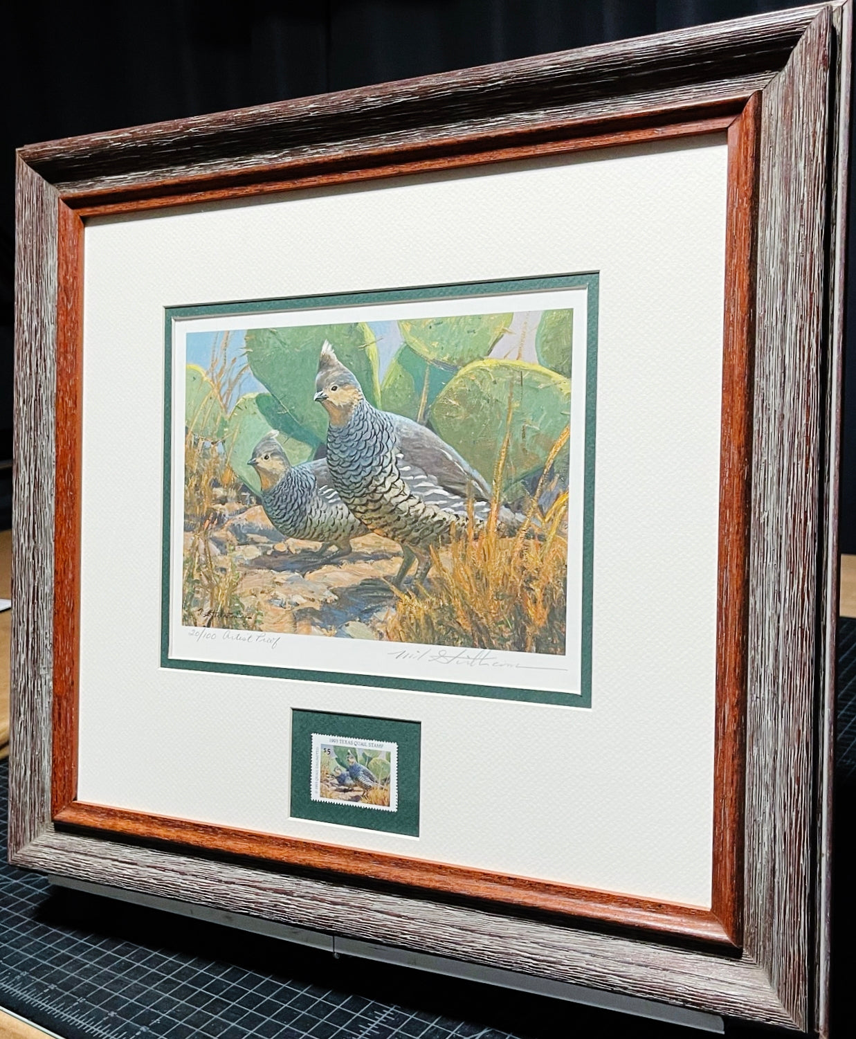Mike Stidham 1993 Texas Quail Stamp Print With Stamp - Brand New Super Custom Sporting Frame
