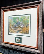 Load image into Gallery viewer, Mike Stidham 1993 Texas Quail Stamp Print With Stamp - Brand New Super Custom Sporting Frame