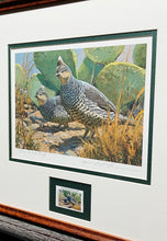 Load image into Gallery viewer, Mike Stidham 1993 Texas Quail Stamp Print With Stamp - Brand New Super Custom Sporting Frame