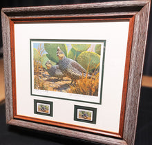 Load image into Gallery viewer, Mike Stidham  1993 Texas Quail Stamp Print With Double Stamps Artist Proof - Brand New Custom Sporting Frame