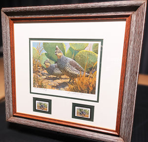 Mike Stidham  1993 Texas Quail Stamp Print With Double Stamps Artist Proof - Brand New Custom Sporting Frame