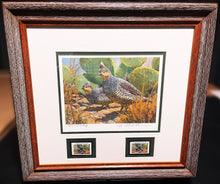 Load image into Gallery viewer, Mike Stidham  1993 Texas Quail Stamp Print With Double Stamps Artist Proof - Brand New Custom Sporting Frame