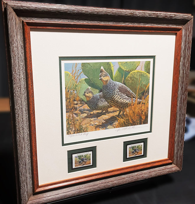 Mike Stidham  1993 Texas Quail Stamp Print With Double Stamps Artist Proof - Brand New Custom Sporting Frame