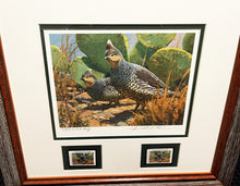 Load image into Gallery viewer, Mike Stidham  1993 Texas Quail Stamp Print With Double Stamps Artist Proof - Brand New Custom Sporting Frame