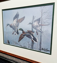 Load image into Gallery viewer, Thompson Crowe  Timber Ghosts - Lithograph Classic Duck Lithograph 1989 - Brand New Super Custom Sporting FrameFrame