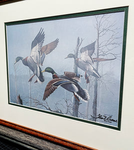 Thompson Crowe  Timber Ghosts - Lithograph Classic Duck 1989 - Brand New Custom Sporting FrameFrame
