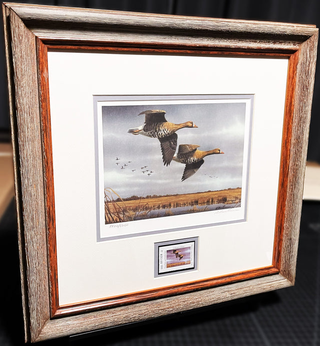 Robert Hautman - 2011 Texas Waterfowl Duck Stamp Print With Stamp - Brand New Custom Sporting Frame