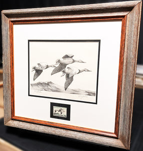 Ron Jenkins 1965 Federal Waterfowl Duck Stamp Print With Stamp - Brand New Custom Sporting Frame