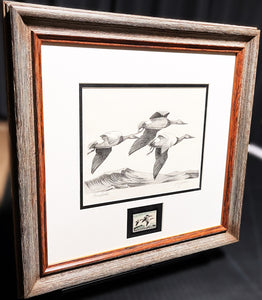 Ron Jenkins 1965 Federal Waterfowl Duck Stamp Print With Stamp - Brand New Custom Sporting Frame