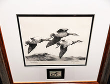 Load image into Gallery viewer, Ron Jenkins 1965 Federal Waterfowl Duck Stamp Print With Stamp - Brand New Custom Sporting Frame