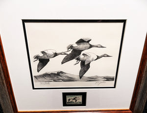 Ron Jenkins 1965 Federal Waterfowl Duck Stamp Print With Stamp - Brand New Super Custom Sporting Frame