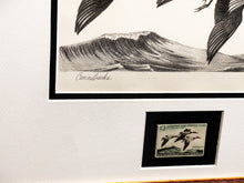 Load image into Gallery viewer, Ron Jenkins 1965 Federal Waterfowl Duck Stamp Print With Stamp - Brand New Super Custom Sporting Frame