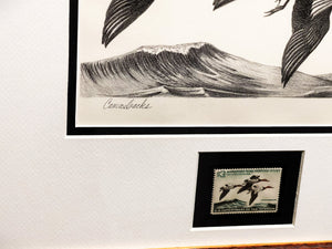 Ron Jenkins 1965 Federal Waterfowl Duck Stamp Print With Stamp - Brand New Custom Sporting Frame