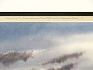 Ronnie Wells - Bay Water Specks - Lithograph AP - Brand New Custom Sporting Frame