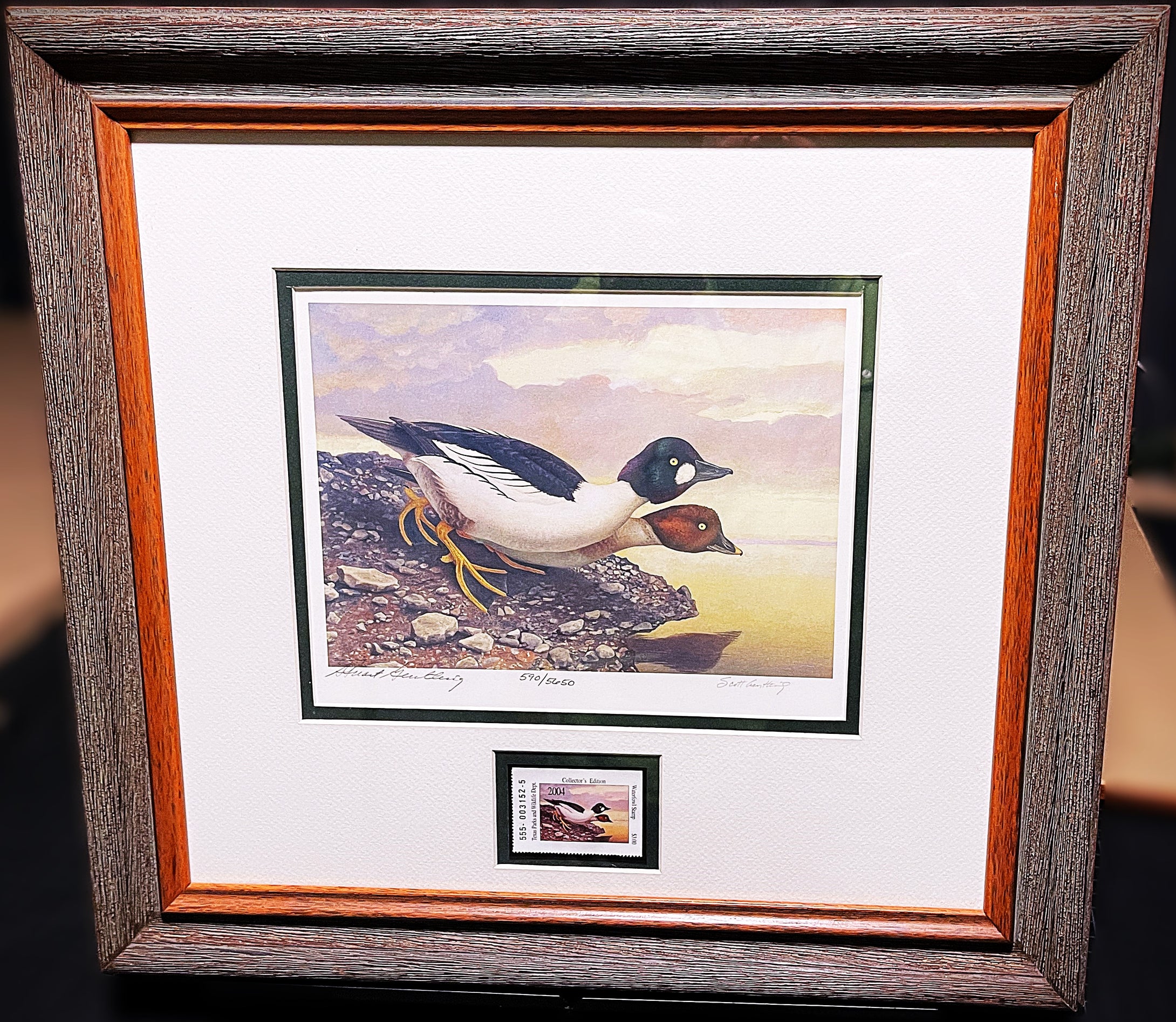 Scott & Stuart Gentling 2004 Texas Texas Waterfowl Stamp Print With Stamp - Brand New Super Custom Sporting Frame