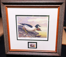 Load image into Gallery viewer, Scott &amp; Stuart Gentling 2004 Texas Texas Waterfowl Stamp Print With Stamp - Brand New Super Custom Sporting Frame