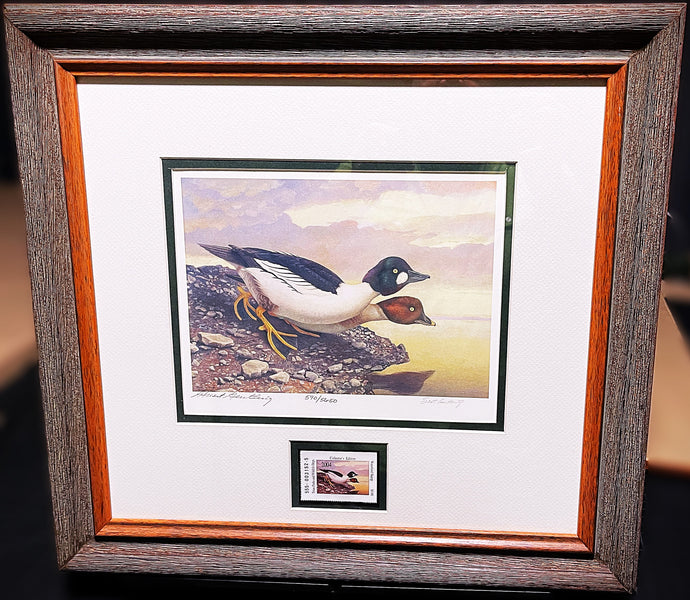 Scott & Stuart Gentling 2004 Texas Texas Waterfowl Stamp Print With Stamp - Brand New Super Custom Sporting Frame