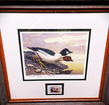 Load image into Gallery viewer, Scott &amp; Stuart Gentling 2004 Texas Texas Waterfowl Stamp Print With Stamp - Brand New Super Custom Sporting Frame