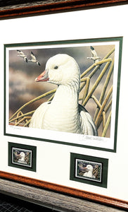 Sherrie Russell Meline - 2006 Federal Duck  Stamp Print With Double Stamps - Brand New Custom Sporting Frame