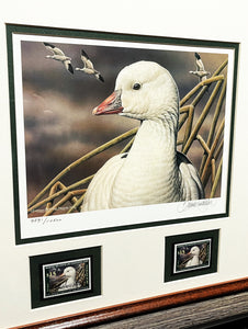 Sherrie Russell Meline - 2006 Federal Duck  Stamp Print With Double Stamps - Brand New Custom Sporting Frame