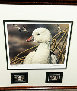 Sherrie Russell Meline - 2006 Federal Duck  Stamp Print With Double Stamps - Brand New Custom Sporting Frame
