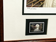Load image into Gallery viewer, Sherrie Russell Meline - 2006 Federal Duck  Stamp Print With Double Stamps - Brand New Custom Sporting Frame