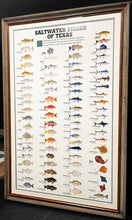 Load image into Gallery viewer, &quot;Saltwater Fish Of Texas&quot; By Texas Parks &amp; Wildlife TPWD 2015 - Brand New Custom Sporting Frame