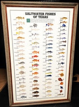 Load image into Gallery viewer, Saltwater Fishes Of Texas By Texas Parks &amp; Wildlife TPWD 2015 - Brand New Super Custom Sporting Frame