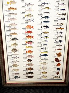 Saltwater Fishes Of Texas By Texas Parks & Wildlife TPWD 2015 - Brand New Super Custom Sporting Frame