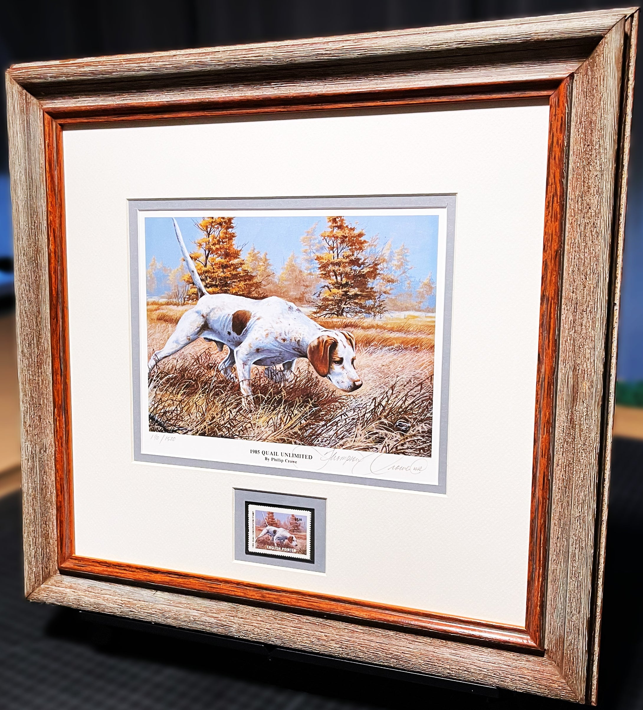 Thompson Crowe  1985 Quail Unlimited Stamp Print With Stamp - Brand New Custom Sporting Frame
