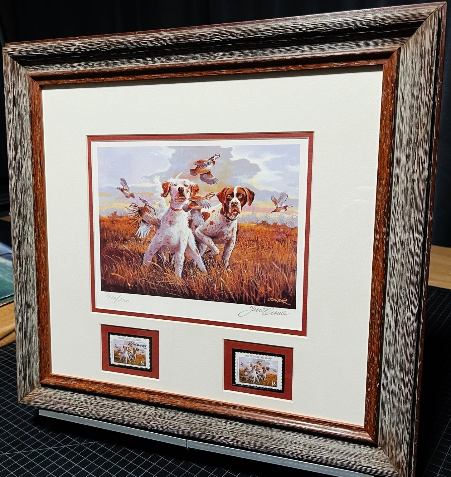Thompson Crowe  1999 Texas Quail Stamp Print With Double Stamps - Brand New Super Custom Sporting Frame