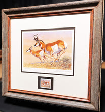 Load image into Gallery viewer, Tom Beecham 1982 Order Of The Antelope Pronghorn Stamp Print With Stamp - Brand New Super Custom Sporting Frame