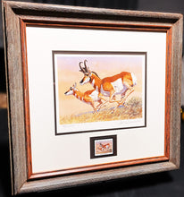 Load image into Gallery viewer, Tom Beecham 1982 Order Of The Antelope Pronghorn Stamp Print With Stamp - Brand New Super Custom Sporting Frame