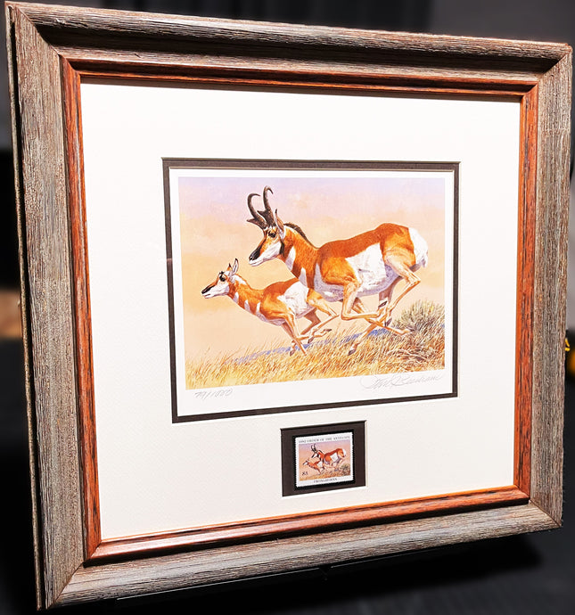 Tom Beecham 1982 Order Of The Antelope Pronghorn Stamp Print With Stamp - Brand New Super Custom Sporting Frame