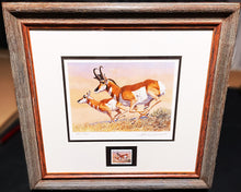 Load image into Gallery viewer, Tom Beecham 1982 Order Of The Antelope Pronghorn Stamp Print With Stamp - Brand New Super Custom Sporting Frame
