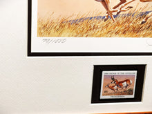 Load image into Gallery viewer, Tom Beecham 1982 Order Of The Antelope Pronghorn Stamp Print With Stamp - Brand New Super Custom Sporting Frame
