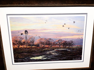 Herb Booth Winter Dove Lithograph - Brand New Super Custom Sporting Frame