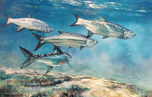 Load image into Gallery viewer, Chance Yarbrough Saltwater Silversides GiClee Full Sheet Artist Proof - Brand New Custom Sporting Frame
