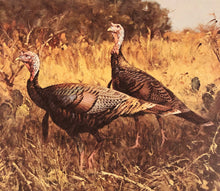 Load image into Gallery viewer, Eldridge Hardie 1989 Texas Turkey Stamp Print With Double Stamps - Brand New Custom Sporting Frame