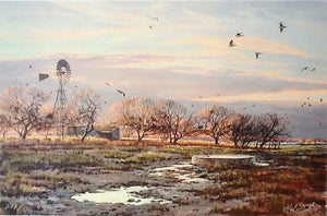 Herb Booth "Winter Dove" Lithograph - Published For Coastal Conservation Association CCA - Brand New Custom Sporting Frame