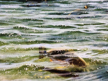 Load image into Gallery viewer, John Dearman Redfish 2005 GiClee Half Sheet - Brand New Super Custom Sporting Frame