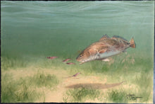 Load image into Gallery viewer, John Dearman Redfish 2014 GiClee Full Sheet - Brand New Custom Sporting Frame