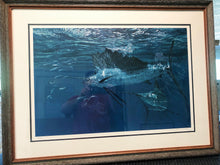 Load image into Gallery viewer, Stanley Meltzoff - Shining Sailfish And Ballyhoo - Lithograph - Brand New Custom Sporting Frame