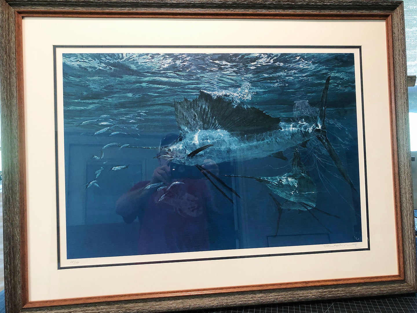 Stanley Meltzoff - Shining Sailfish And Ballyhoo - Lithograph - Brand New Custom Sporting Frame