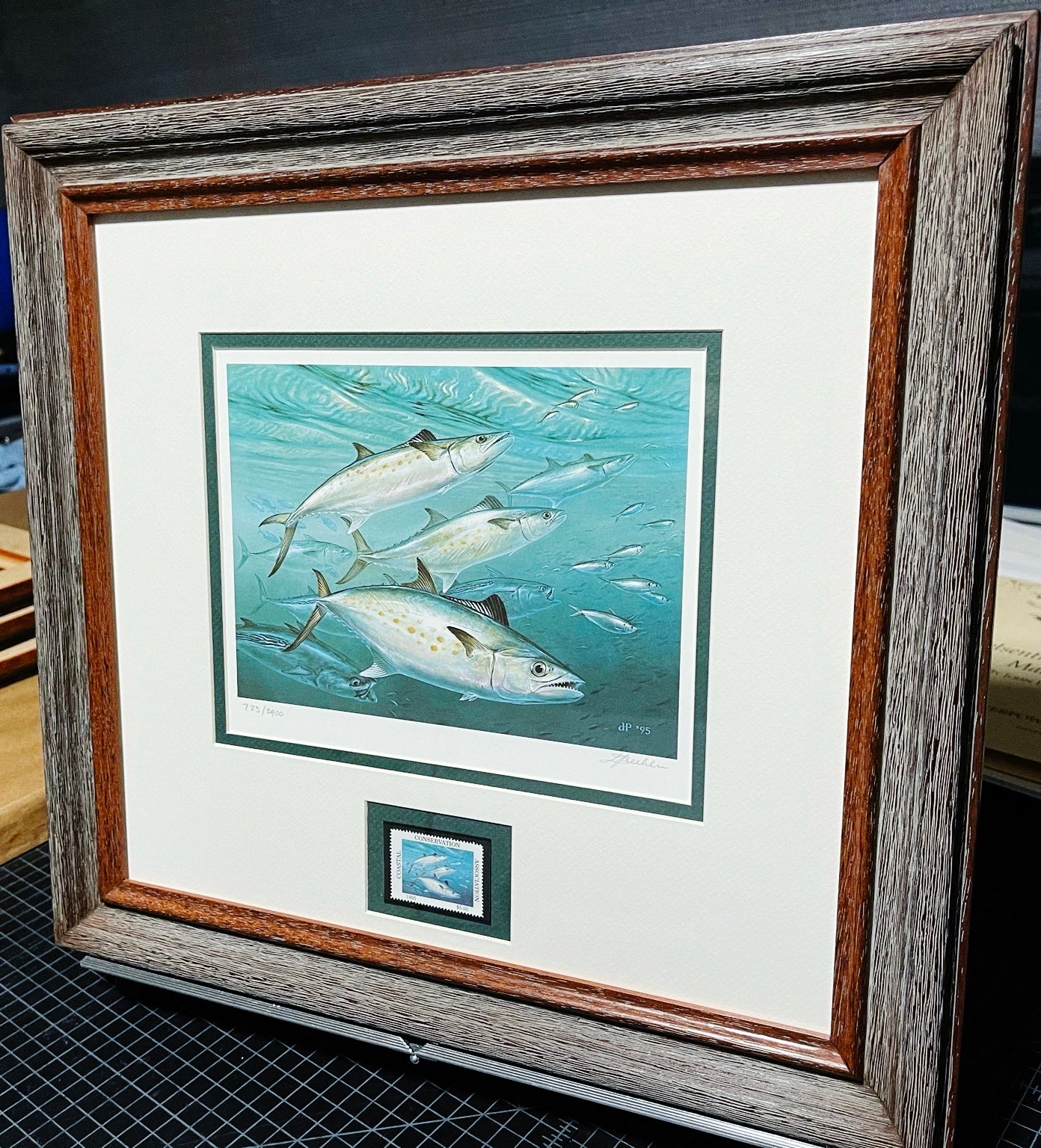 Diane Rome Peebles 1995 Coastal Conservation Association CCA Stamp Print With Stamp - Brand New Custom Sporting Frame