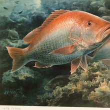 Load image into Gallery viewer, Diane Rome Peebles - 2000 Coastal Conservation Association CCA Stamp Print With Stamp - Brand New Custom Sporting Frame