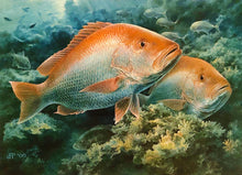Load image into Gallery viewer, Diane Rome Peebles - 2000 Coastal Conservation Association CCA Stamp Print With Stamp - Brand New Custom Sporting Frame