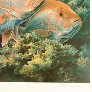 Diane Rome Peebles - 2000 Coastal Conservation Association CCA Stamp Print With Stamp - Brand New Custom Sporting Frame