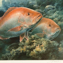 Load image into Gallery viewer, Diane Rome Peebles - 2000 Coastal Conservation Association CCA Stamp Print With Stamp - Brand New Custom Sporting Frame