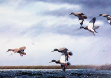 Load image into Gallery viewer, John Dearman Mallards At Round Lake Lithograph Artist Proof - Brand New Super Custom Sporting Frame  ***  SPRING SPECIAL  ***
